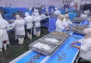 empresa camaronera, nicaragua, tratado de libre comercio, chinandega, nicaragua, camanica,
