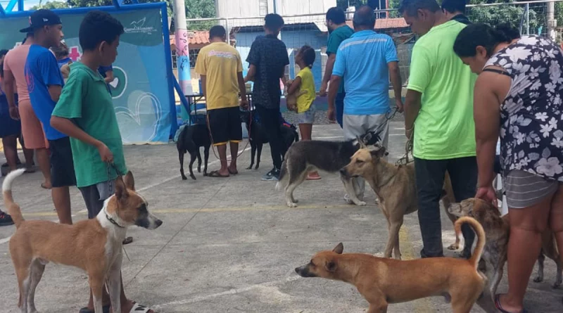 managua, jornada veterinaria, barrio carlos nuñez