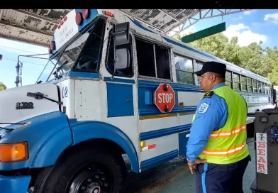 bus, transporte escolar, inspección, agente de transito, unidad de transporte escolar, proceso de inspección,