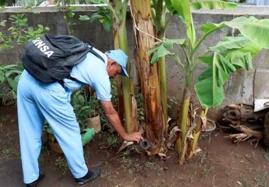 abatizacion de dengue, barrio villa libertad, minsa, managua, lucha antiepidémica