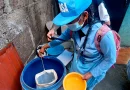 minsa, abatización, dengue, zika, benedicto valverde, managua, nicaragua