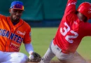 liga de beisbol profesional, tren del norte, rivas, deporte, beisbol, nicaragua