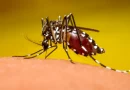 casos de dengue, neumonia, minsa, nicaragua