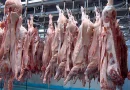nicaragua, carne de cerdo, sector nicaraguense