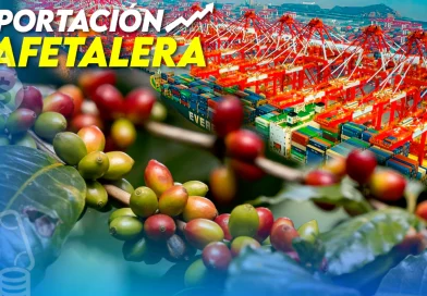 nicaragua, café, exportacion cafetalera, banco central de nicaragua, china, tlc, tratado de libre comercio,