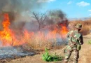 incendios forestales, sinapred, nicaragua, managua, puntos de calor, ejercito de nicaragua, fuego,