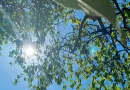 pronostico del clima, managua, ineter, nicaragua