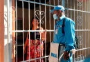 nicaragua, managua, minsa,