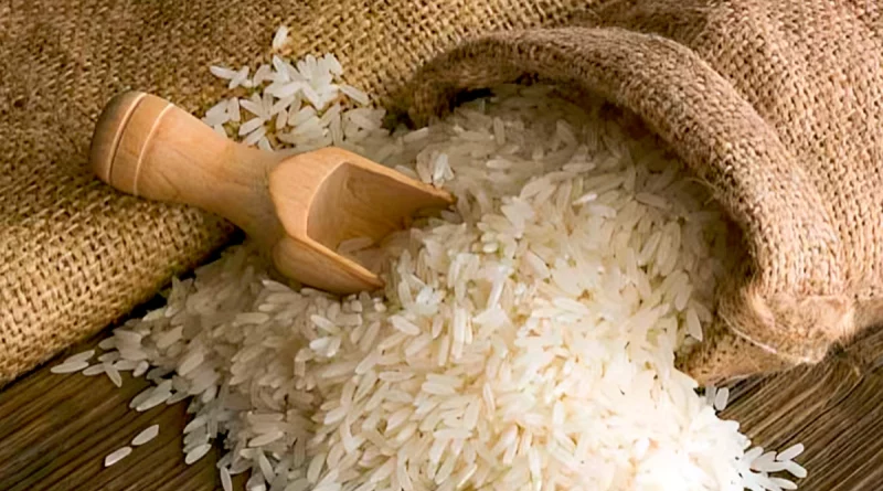 canasta basica de arroz, aumento productivo de arroz, managua, nicaragua