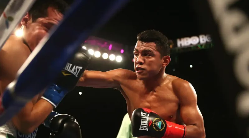 Román Gonzalez, Chocolatito, combate, título del mundo, podría tener, retorno, regreso, cuadrilátero, tetracampeón,