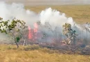 incendio foresta, destacamiento militar norte, puerto cabezas, raccn, ejercito de nicaragua, nicaragua