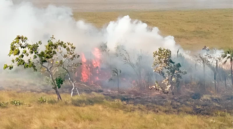 incendio foresta, destacamiento militar norte, puerto cabezas, raccn, ejercito de nicaragua, nicaragua