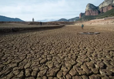 sequía, emergencia, peor sequía, Cataluña, España, restricciones, conservar el agua, estado de emergencia, declaran,