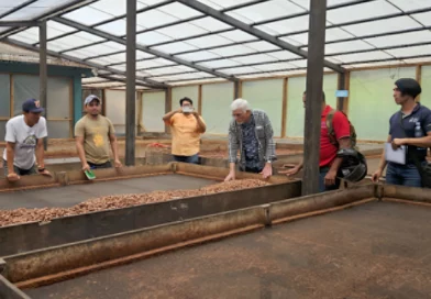 nicaragua, cacao, unan managua, mefcca,
