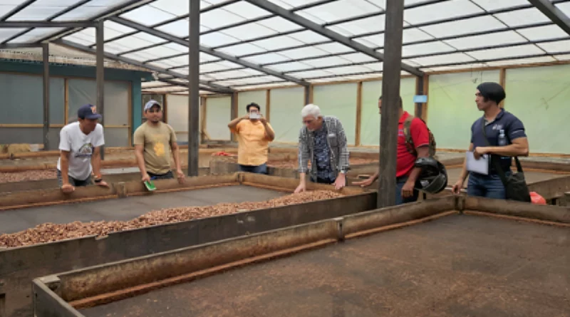 nicaragua, cacao, unan managua, mefcca,