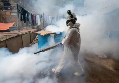 Perú, dengue, estado de emergencia, enfermedad, mosquito, zancudo, aumento de casos, mosquito, salud, declarará, incremento de casos,