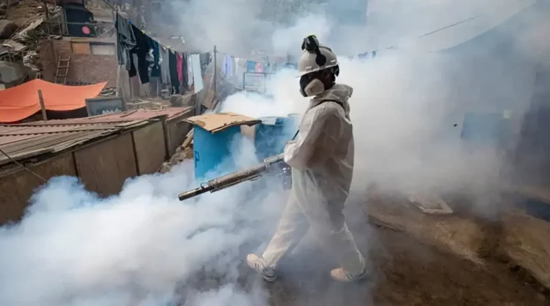 Perú, dengue, estado de emergencia, enfermedad, mosquito, zancudo, aumento de casos, mosquito, salud, declarará, incremento de casos,