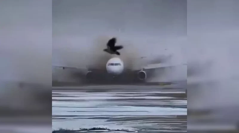 avión, pista helada, derrapa, aeropuerto, pista de aeropuerto, agua, lodo, barro,