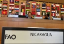 nicaragua, fao, delegacion, foro mundial