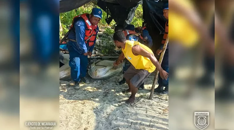 inspecciones, INPESCA, Ejército de Nicaragua, Fuerza Naval, efectivo, Laguna de Perlas, arena, playa,