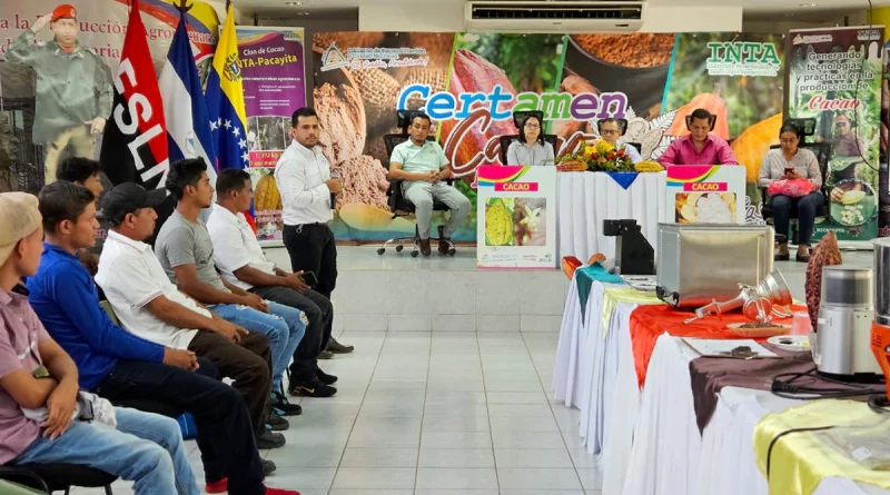 nicaragua, cacao, matagalpa. certamen nacional cacao de excelencia,