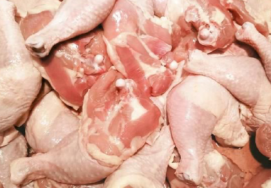 carne de pollo, nicaragua, aumenta produccion, enero, febrero 2024