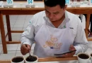 certamen taza dorada, nicaragua, matagalpa, inta, produccion de cafe