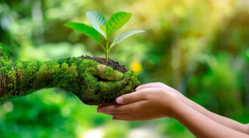 Día Mundial de la Tierra, celebración, llamado de conciencia, cuido del planeta, protección de la tierra, preservación, planeta, tierra,