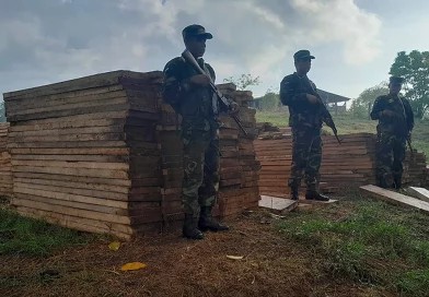 nicaragua, ejercito de nicaragua, madera, bluefields,