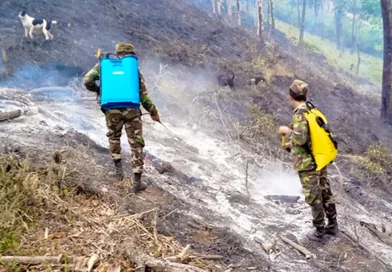 nicaragua, ejercito de nicaragua, sofocacion de incendio, san jose de paiwas, incendio forestal,