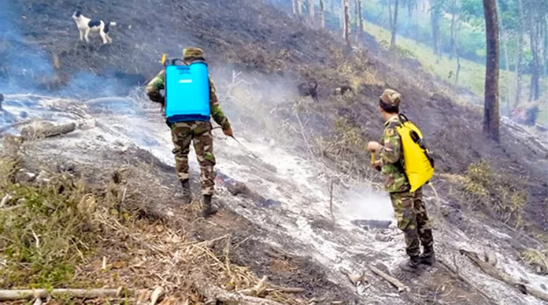 nicaragua, ejercito de nicaragua, sofocacion de incendio, san jose de paiwas, incendio forestal,