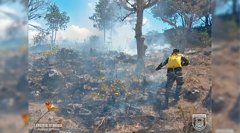 ejercito de nicaragua, san rafael del norte, jinotega, incendio forestal