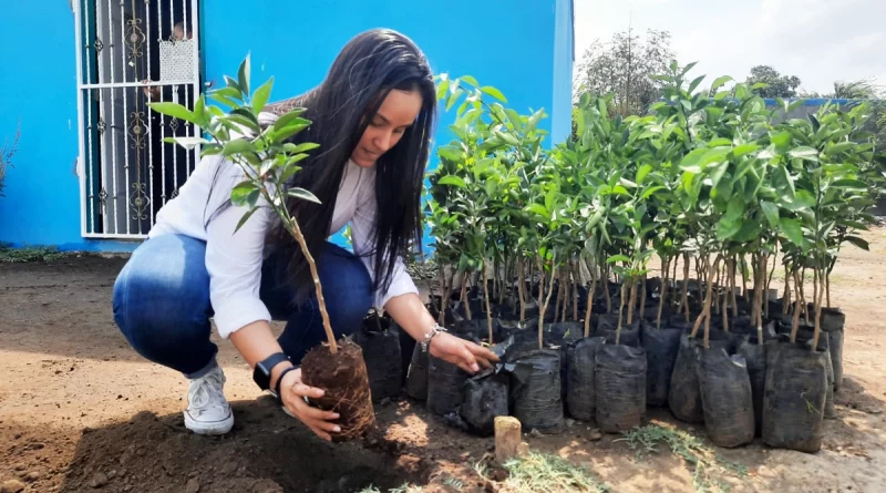 inafor, movimiento ambientalista guardabarranco, bismarck martinez, jornada de reforestacion, managua, nicaragua