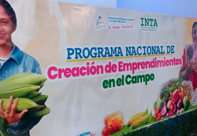 nicaragua, productores, inta,