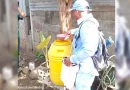 MINSA, enfermedades epidémicas, Zika, abatización, barrio Bóer, Managua, combate, jornada de abatisación,