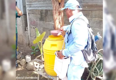 MINSA, enfermedades epidémicas, Zika, abatización, barrio Bóer, Managua, combate, jornada de abatisación,