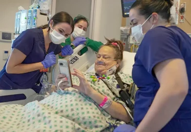 segundo trasplante de riñón de cerdo, EE.UU., riñón de cerdo, mujer, médicos, realizan, segundo trasplante,