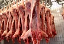 carne porcina, 6% aumento, nicaragua