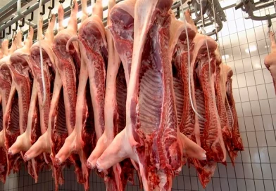 carne porcina, 6% aumento, nicaragua