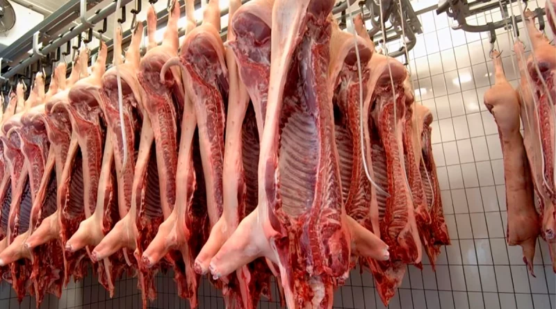 carne porcina, 6% aumento, nicaragua
