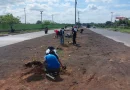 alcaldia de managua, reforestacion, nicaragua,