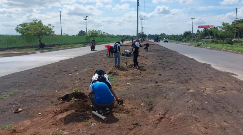 alcaldia de managua, reforestacion, nicaragua,