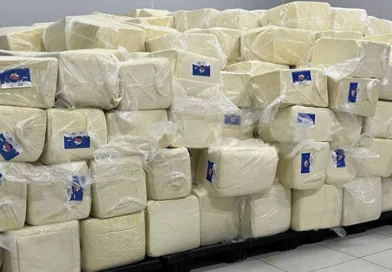 nicaragua, economia, produccion de queso,