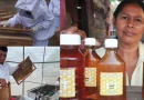 nicaragua, produccion de miel, managua, consumo