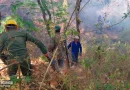 ejercito de n Nicaragua, sofocación de incendio, nicaragua, Madriz, ejercito de nicaragua, gobierno d nicaragua,