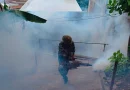 fumigacion, criaderos de dengue, juigalpa, chontales, ejercito de nicaragua