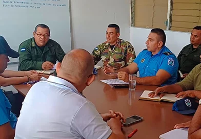 ejercito de nicaragua, seguridad ciudadana, nicaragua