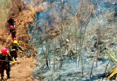 ejercito de nicaragua, incendio forestal, jinotega, inafor