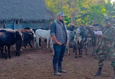 nicaragua, matagalpa, semovientes, ejercito de nicaragua