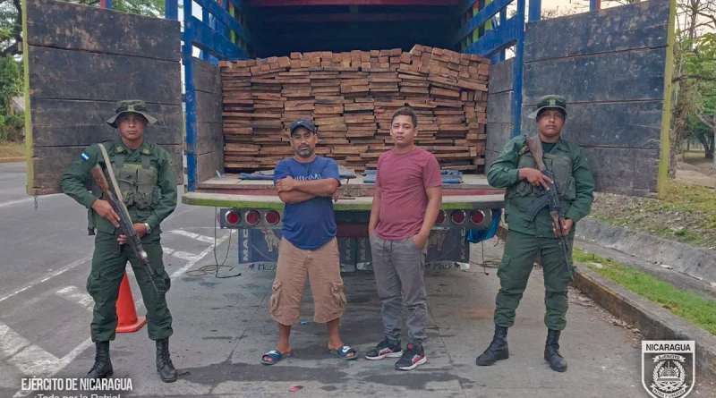 nicaragua, ejercito de nicaragua, madera, caribe norte,